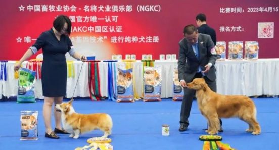 看展听会互动，沉浸式宠业狂欢体验不容错过！速速收藏潮宠展看点攻略！