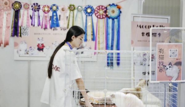 看展听会互动，沉浸式宠业狂欢体验不容错过！速速收藏潮宠展看点攻略！