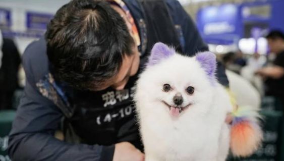 看展听会互动，沉浸式宠业狂欢体验不容错过！速速收藏潮宠展看点攻略！