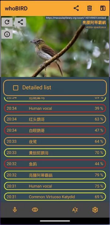 whoBIRD图片2
