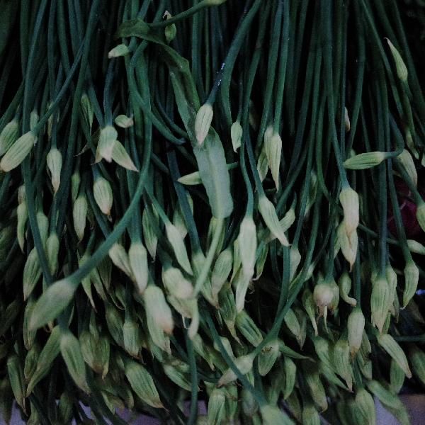 容易消化的饭菜食谱