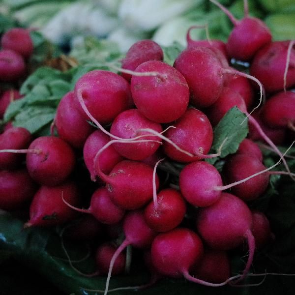 容易消化的饭菜食谱