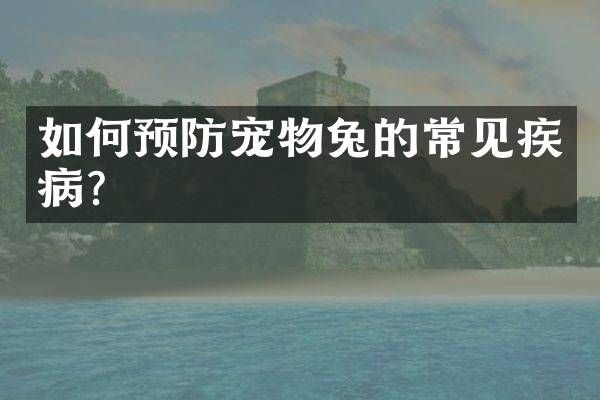 如何预防宠物兔的常见疾病?