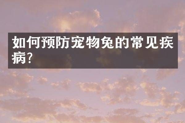 如何预防宠物兔的常见疾病?