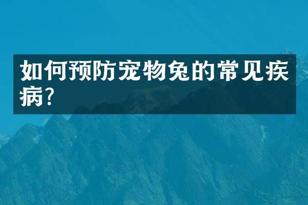 如何预防宠物兔的常见疾病?
