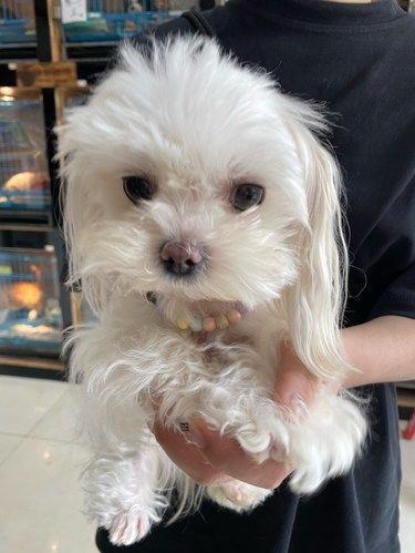 人没了，回忆还在！！我真的哭死[流泪][流泪][流泪]