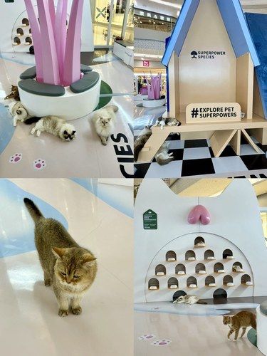 昆山的！在这呆一下午太幸福啦！