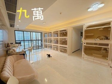 猫舍搬新家啦～