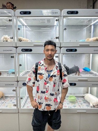 在上海买宠物必逛的店