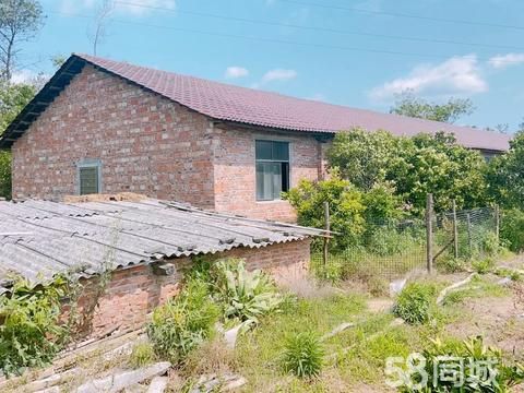 吉安畜禽养殖·养猪