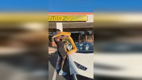 #黄金蟒 #网纹蟒 #爬宠 #爬宠日常 #爬宠馆