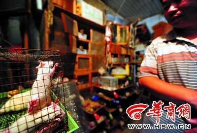 说起自己在小区里养蛇和白鼠，徐师傅也显得很无奈 本报记者 李晖摄