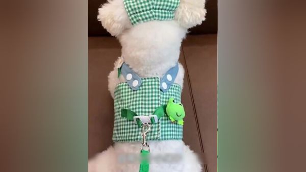 Thumbplayer Poster Plugin Image