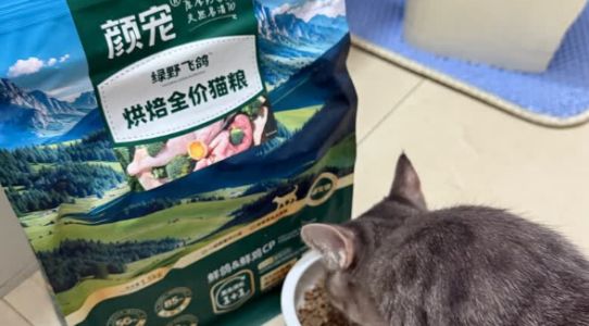 实测2025宠物粮配方表大全 | 颜宠：好吃的猫粮就是开“味”