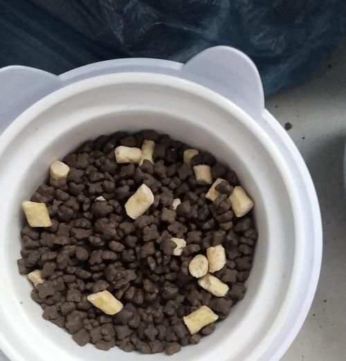 汤罐头能配猫粮吗怎么吃？如何合理搭配猫粮和汤罐头？