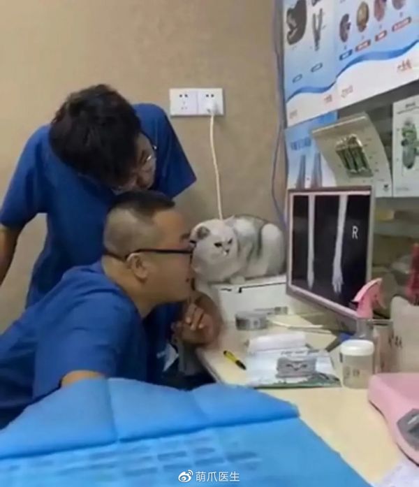 一起看片子<a href='https://weibo.com/n/吸猫大人'>@吸猫大人</a>