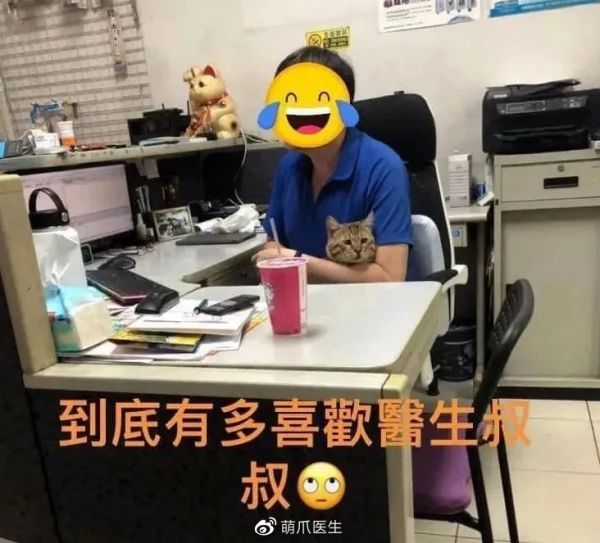 <a href='https://weibo.com/n/陳加伃'>@陳加伃</a>