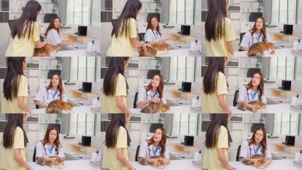 亚洲宠物主人孩子带小猫去兽医诊所做检查。专业女兽医在宠物医院的就诊期间，在检查台上检查和治疗家猫幼崽