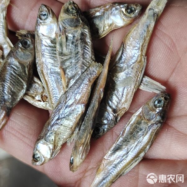 饲料鱼干猫鱼食宠物饲料甲鱼龟饲料鸟食猪配合饲料