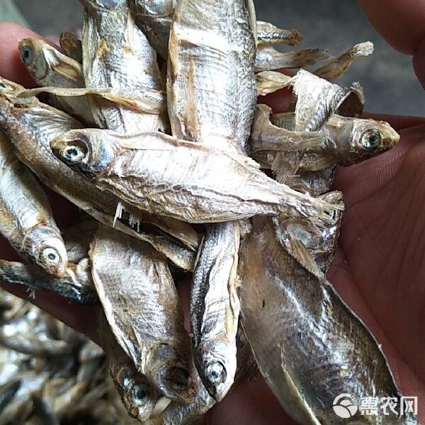 饲料鱼干猫鱼食宠物饲料甲鱼龟饲料鸟食猪配合饲料