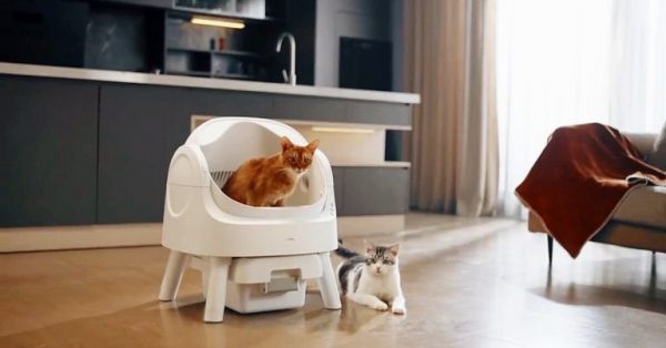 2025美国最佳自动猫砂盆推荐​