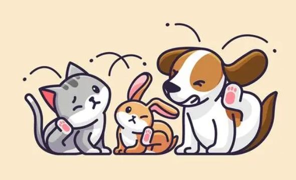 自制狗窝的做法大全集(详解:纸箱做超简易狗窝)