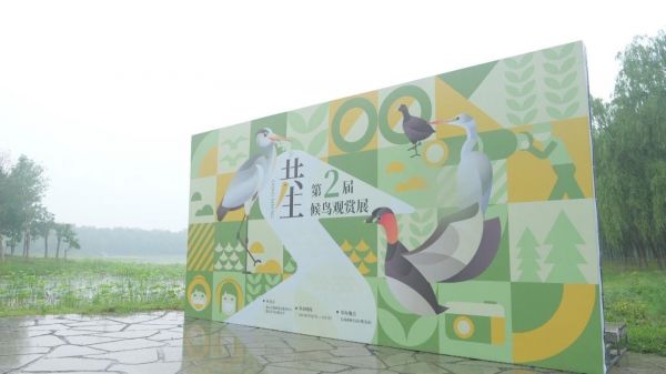 传播爱鸟护鸟知识,东郊森林公园顺义园举办“第2届候鸟观赏展”!