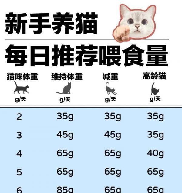 猫吃米饭后还会吃猫粮吗?探究猫咪饮食习惯的原因是什么?