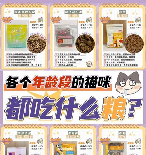 猫吃米饭后还会吃猫粮吗?探究猫咪饮食习惯的原因是什么?