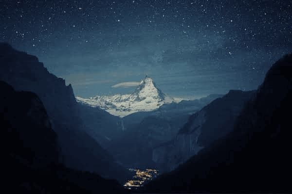 柯基犬微量元素怎么补，柯基犬微量元素怎么补充的