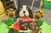宠物蛋糕