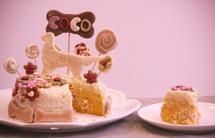 宠物蛋糕狗狗蛋糕 健康无糖盐蛋白