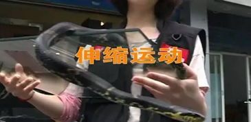 宠物被蛇咬，紧急送医！
