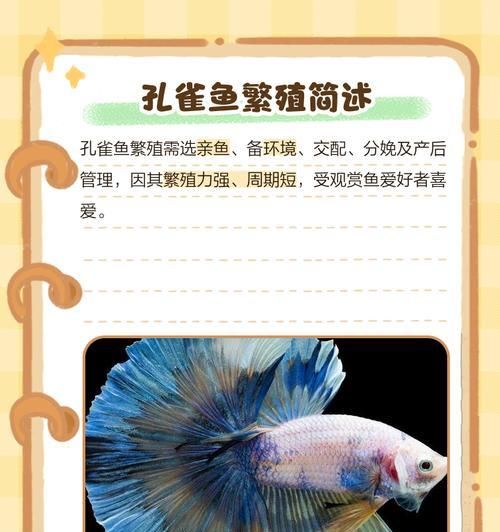 孔雀鱼的生长周期及特点（探究孔雀鱼的生长周期和发育特点，了解它们的成长规律）