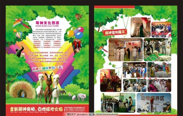 宠物活动宣传单