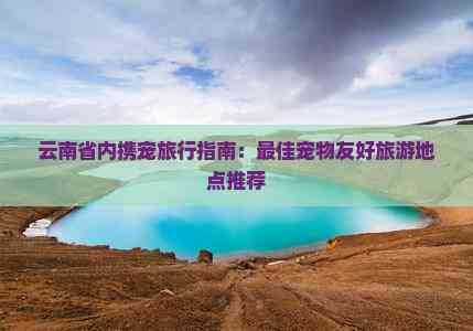 云南省内携宠旅行指南:更佳宠物友好旅游地点推荐