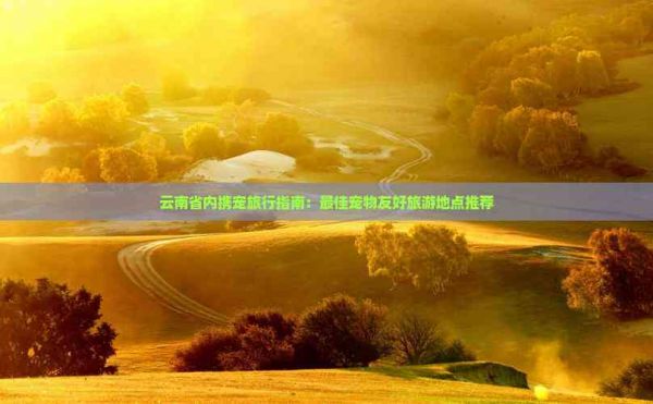 云南省内携宠旅行指南:更佳宠物友好旅游地点推荐
