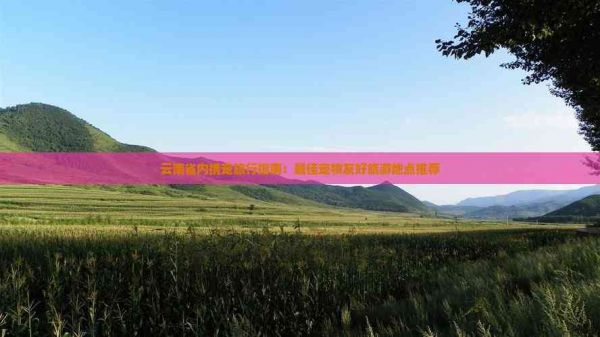 云南省内携宠旅行指南:更佳宠物友好旅游地点推荐