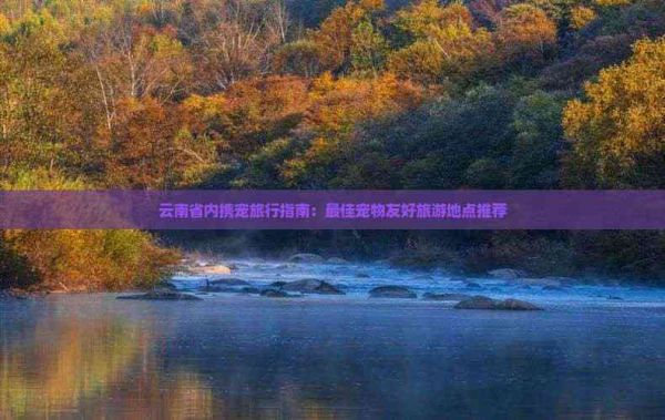 云南省内携宠旅行指南:更佳宠物友好旅游地点推荐