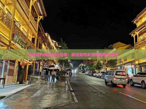 云南省内携宠旅行指南:更佳宠物友好旅游地点推荐