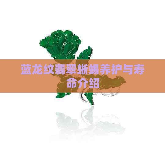 蓝龙纹翡翠蜥蜴养护与寿命介绍