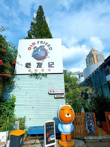 卧槽!!卧槽!!淮安也有小狗饭堂了!!!