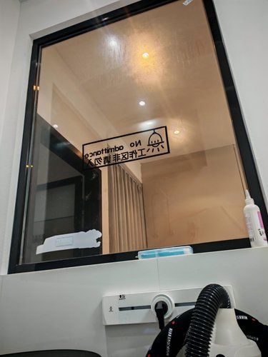 健康先行~猫咪护理