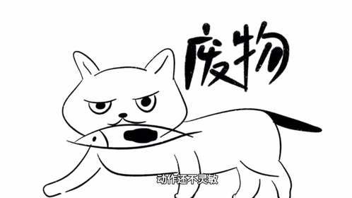 猫的行为学和心理学揭秘