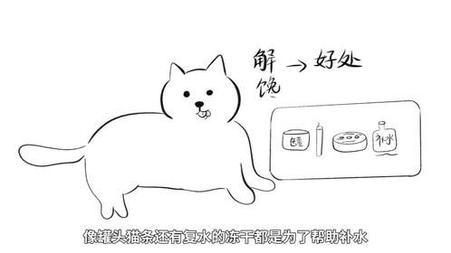 新手养猫需要购买什么东西？什么该买什么不该买？