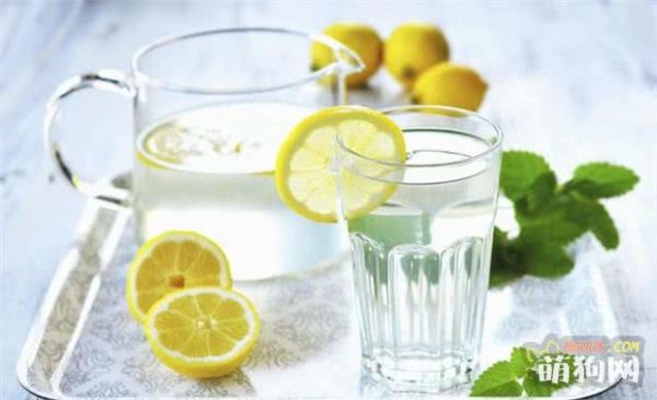 幼犬喂养的最佳方法,4大注意事项!