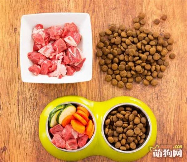 幼犬喂养的最佳方法,4大注意事项!