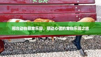 邢台动物萌宠乐园,萌动心弦的宠物乐园之旅