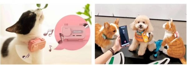 GPS宠物穿戴设