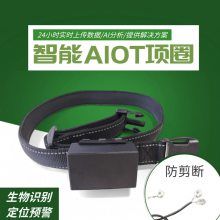 智能项圈（NB-IoT版）牲畜项圈、牛项圈、羊项圈，支持计步定位、电子围栏、智能养殖系统